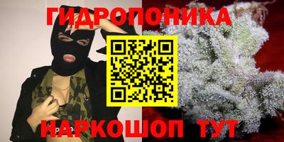 стаф Партизанск
